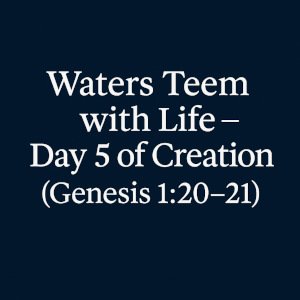 Waters Teem with Life – Day 5 of Creation (Genesis 1:20-21).