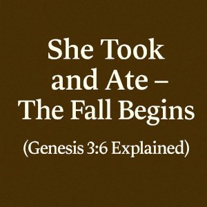 She Took and Ate – The Fall Begins (Genesis 3:6 Explained).