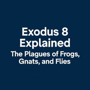 Exodus 8 Explained | The Plagues of Frogs, Gnats, and Flies.
